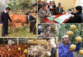 Triển khai sâu rộng phong trào thi đua cả nước chung tay vì người nghèo